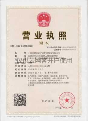 化工产品营业执照（化工类营业执照）-图2