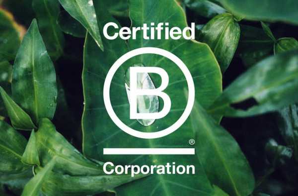 bpo国内资质认证（bcorp认证中国企业）